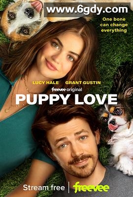 小狗之爱(2023)HD高清迅雷网盘磁力下载