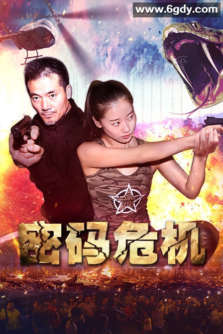 密码危机(2018)HD高清迅雷网盘磁力下载