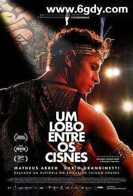 天鹅中的狼(2024)HD高清迅雷网盘磁力下载