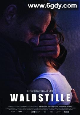瓦尔德斯蒂尔(2016)HD高清迅雷网盘磁力下载