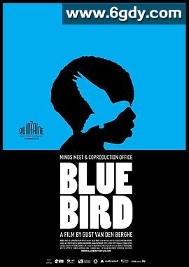 青鸟2011(2011)HD高清迅雷网盘磁力下载