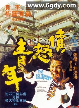 愤怒青年(1973)超清高清迅雷网盘磁力下载