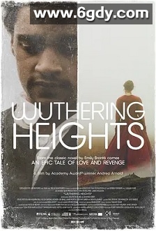 呼啸山庄(2011)HD高清迅雷网盘磁力下载