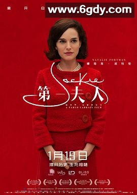 第一夫人(2016)HD高清迅雷网盘磁力下载