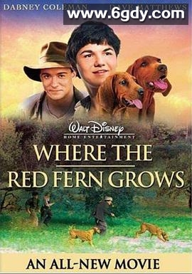 红色羊齿草的故乡(2003)HD高清迅雷网盘磁力下载