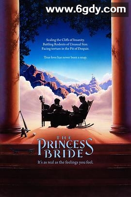 公主新娘(1987)HD高清迅雷网盘磁力下载