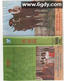 青龍鎮(1968)HD高清迅雷网盘磁力下载