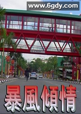 暴风倾情(1995)HD高清迅雷网盘磁力下载