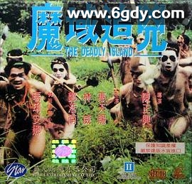 魔域追凶(1994)HD高清迅雷网盘磁力下载