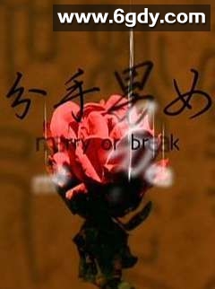 分手男女2008(2008)HD高清迅雷网盘磁力下载