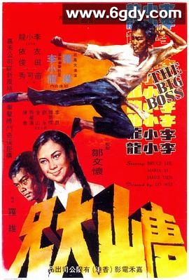 唐山大兄(1971)HD高清迅雷网盘磁力下载