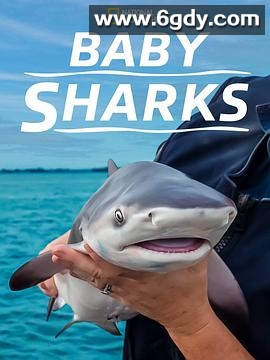 鲨鱼宝宝成长记(2022)HD高清迅雷网盘磁力下载