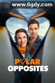 两极对立(2025)HD高清迅雷网盘磁力下载