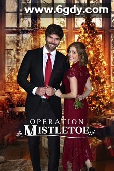 Operation Mistletoe(2024)HD高清迅雷网盘磁力下载