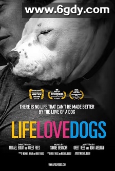 生命·爱·狗狗(2019)HD高清迅雷网盘磁力下载