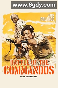 战地九飞龙(1969)HD高清迅雷网盘磁力下载