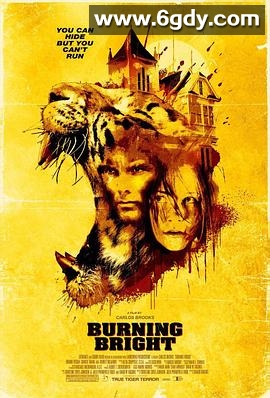 燃烧的夜晚(2010)HD高清迅雷网盘磁力下载