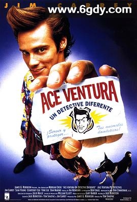 神探飞机头(1994)HD高清迅雷网盘磁力下载