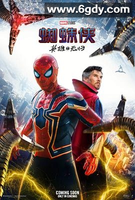 蜘蛛侠：英雄无归(2021)HD高清迅雷网盘磁力下载