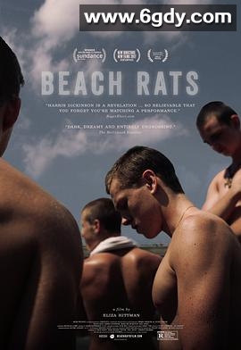 沙滩鼠(2017)HD高清迅雷网盘磁力下载