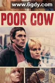 可怜的母牛(1967)HD高清迅雷网盘磁力下载