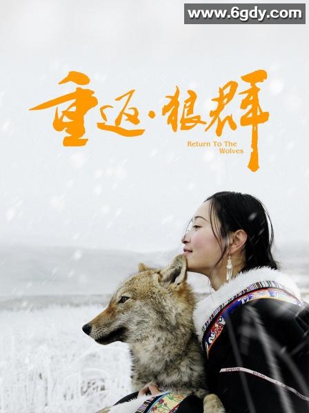 重返·狼群(2017)HD高清迅雷网盘磁力下载