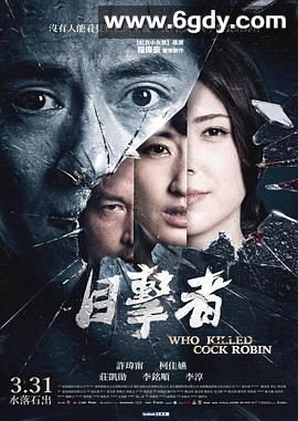 目击者之追凶(2017)HD高清迅雷网盘磁力下载