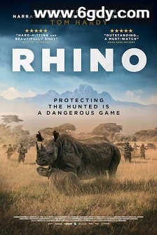 犀牛(2025)HD高清迅雷网盘磁力下载