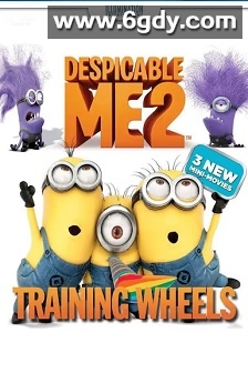 辅助轮(2013)HD高清迅雷网盘磁力下载