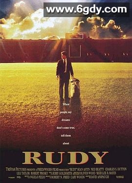 追梦赤子心(1993)HD高清迅雷网盘磁力下载