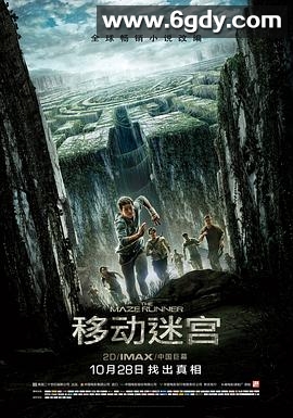 移动迷宫(2014)HD高清迅雷网盘磁力下载