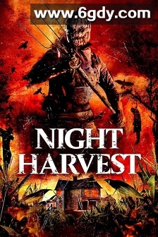 暗夜收割(2024)HD高清迅雷网盘磁力下载