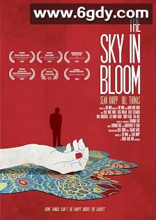 绽放的天空(2013)HD高清迅雷网盘磁力下载