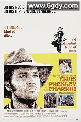 龙城猛虎(1969)超清高清迅雷网盘磁力下载