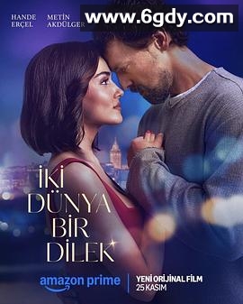 两个世界一个愿望(2025)HD高清迅雷网盘磁力下载