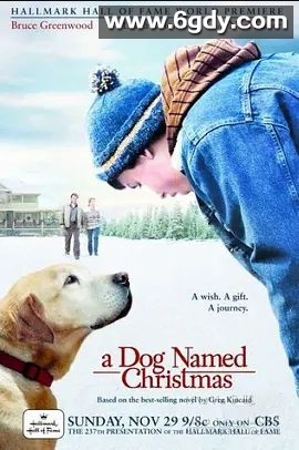 圣诞狗(2009)超清高清迅雷网盘磁力下载