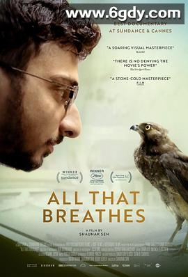 生生相息(2022)HD高清迅雷网盘磁力下载