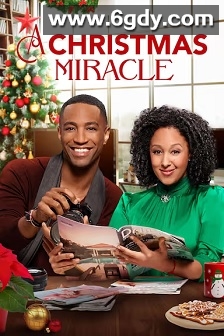 A Christmas Miracle(2019)HD高清迅雷网盘磁力下载