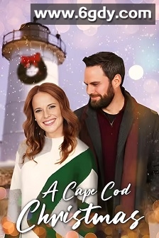 科德角的圣诞节(2021)HD高清迅雷网盘磁力下载