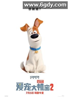 爱宠大机密2(2019)HD高清迅雷网盘磁力下载