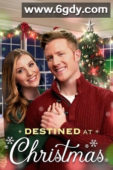 Destined at Christmas(2022)HD高清迅雷网盘磁力下载