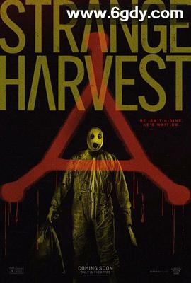 怪奇收割(2024)HD高清迅雷网盘磁力下载