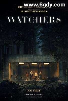 神秘窥视(2024)HD高清迅雷网盘磁力下载