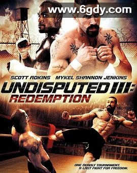终极斗士3：赎罪(2010)HD高清迅雷网盘磁力下载