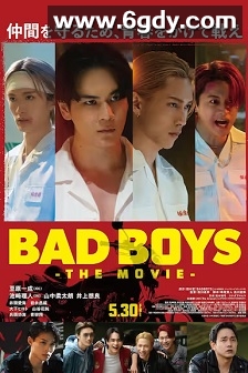 坏男孩(2025)HD高清迅雷网盘磁力下载