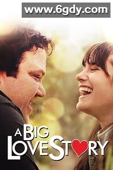 A Big Love Story(2012)HD高清迅雷网盘磁力下载