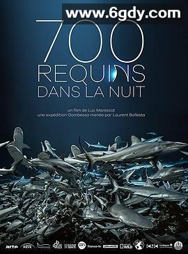 鲨鱼探秘(2019)超清高清迅雷网盘磁力下载