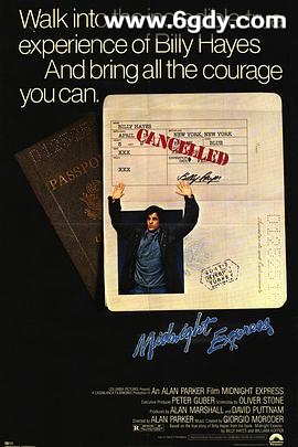 午夜快车(1978)HD高清迅雷网盘磁力下载