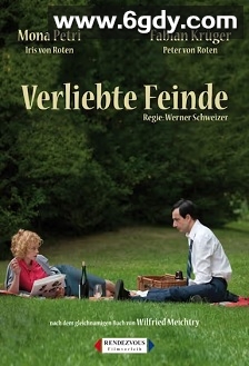 恋爱中的敌人(2013)HD高清迅雷网盘磁力下载