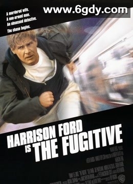 亡命天涯(1993)HD高清迅雷网盘磁力下载